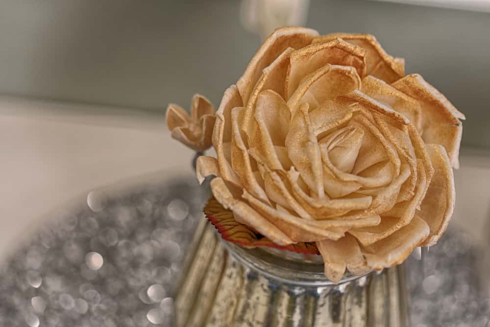 Historical Curses Facts