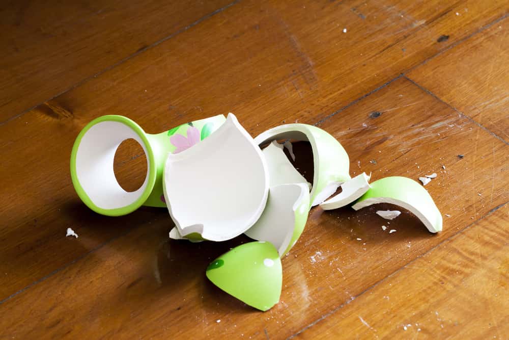 Fawzia Of Egypt Facts