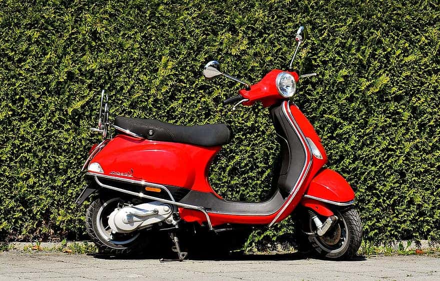 Disgusting Secrets facts