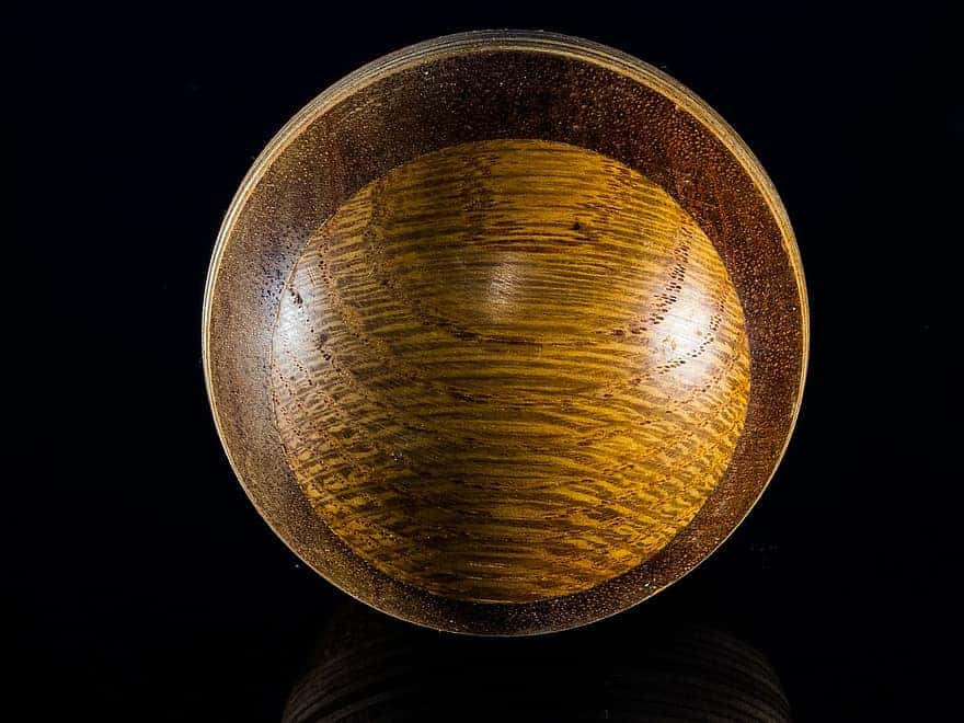 Disgusting Secrets facts