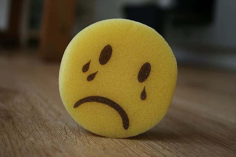 Made Teachers Cry Facts