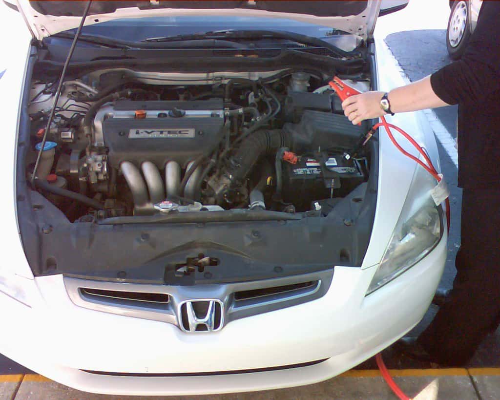 Wholesome Encounters With Strangers facts