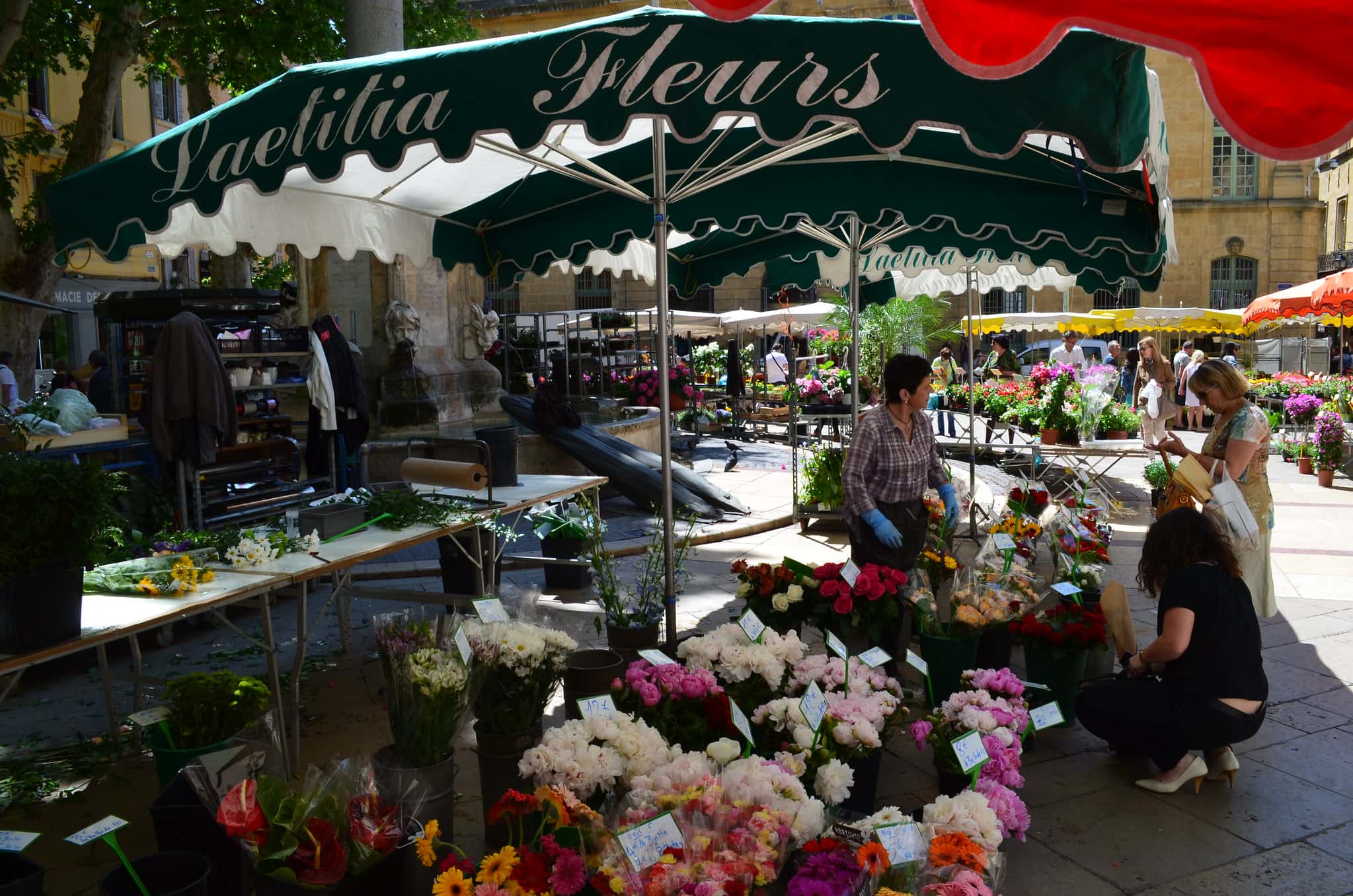 Wholesome Encounters With Strangers facts