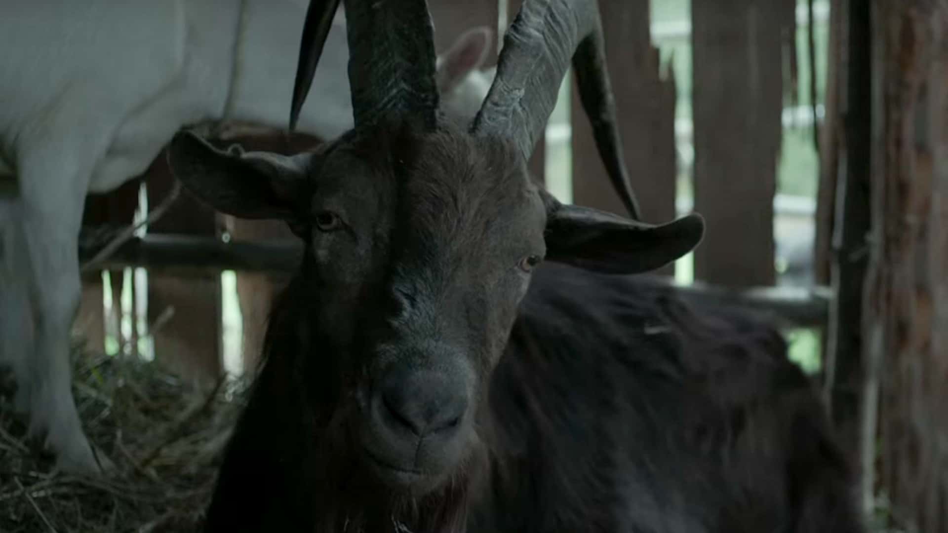 Horror Movie Details Facts