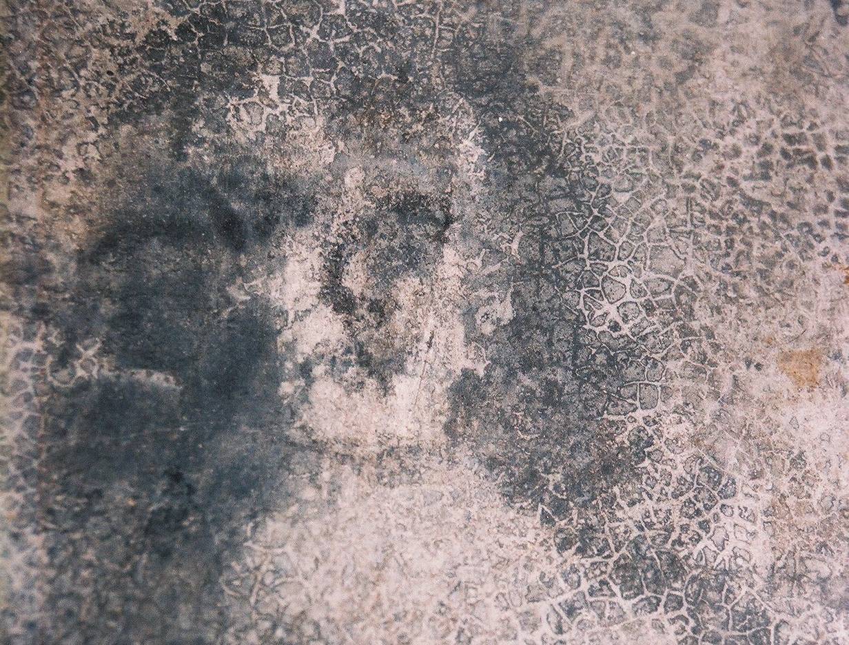 Bone-Chilling Events facts