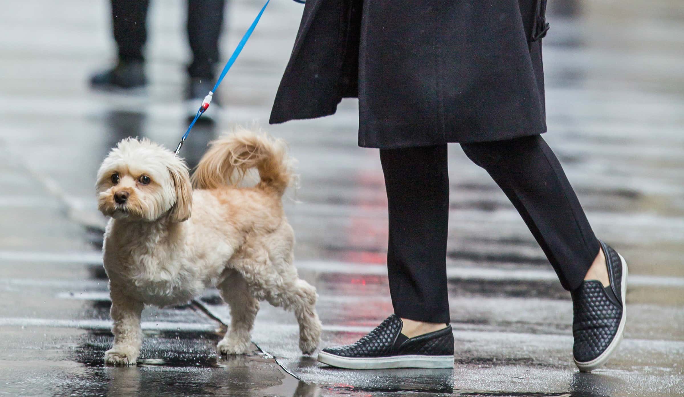 Jessica Chastain Facts