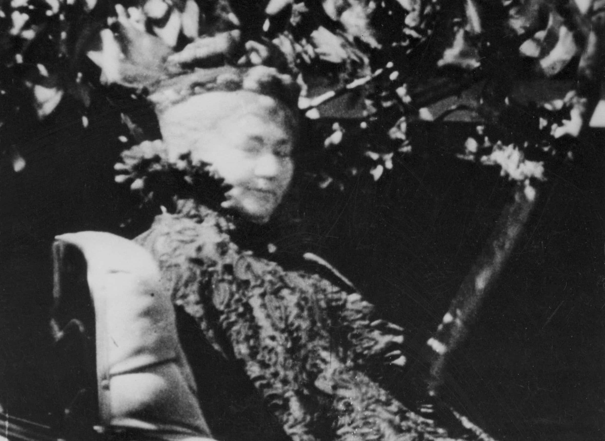 Winchester Mystery House Facts