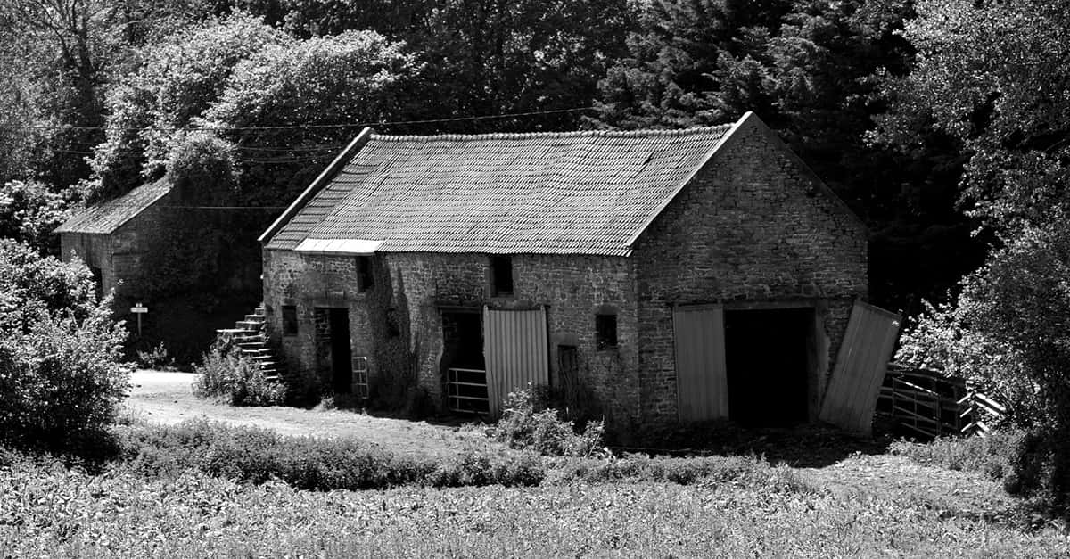 Terrifying Facts About History's Most Bone-Chilling Events