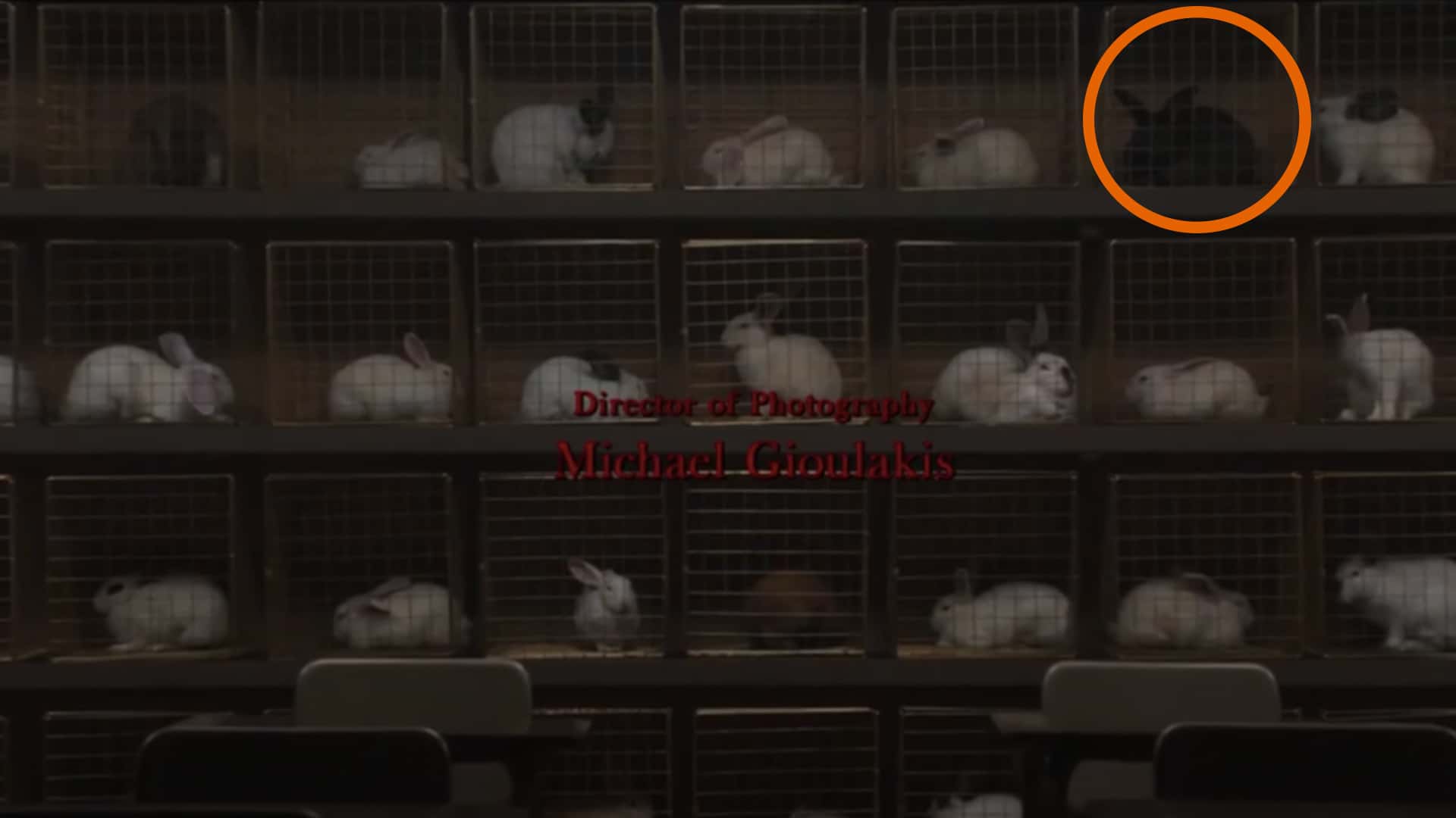 Horror Movie Details Facts