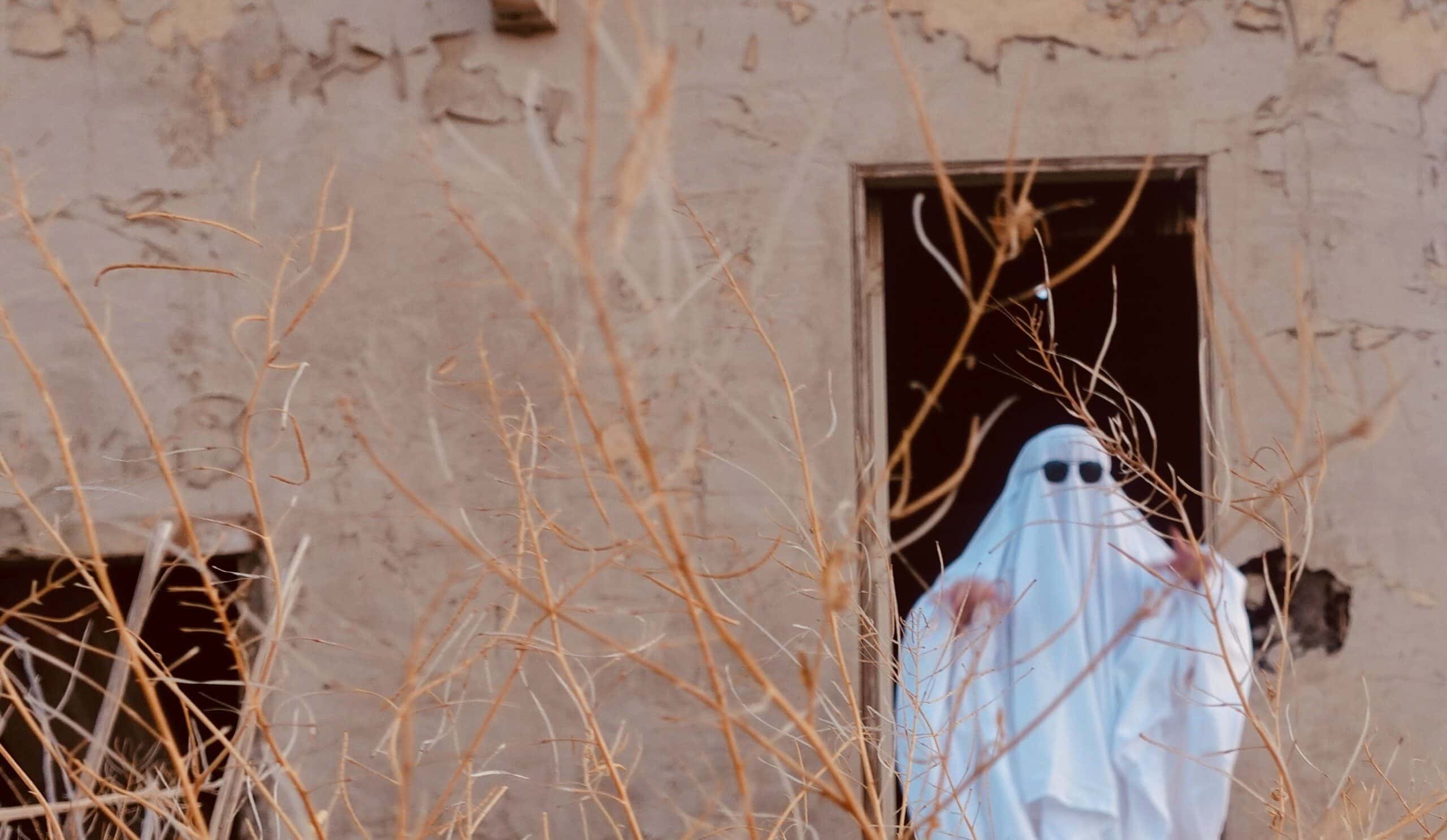 Night Shift Paranormal Facts