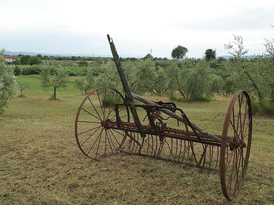 Robert Johnson Facts