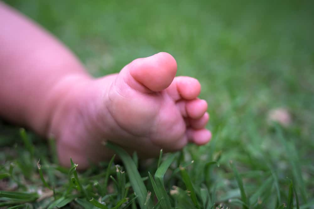 Juana Azurduy De Padilla Facts