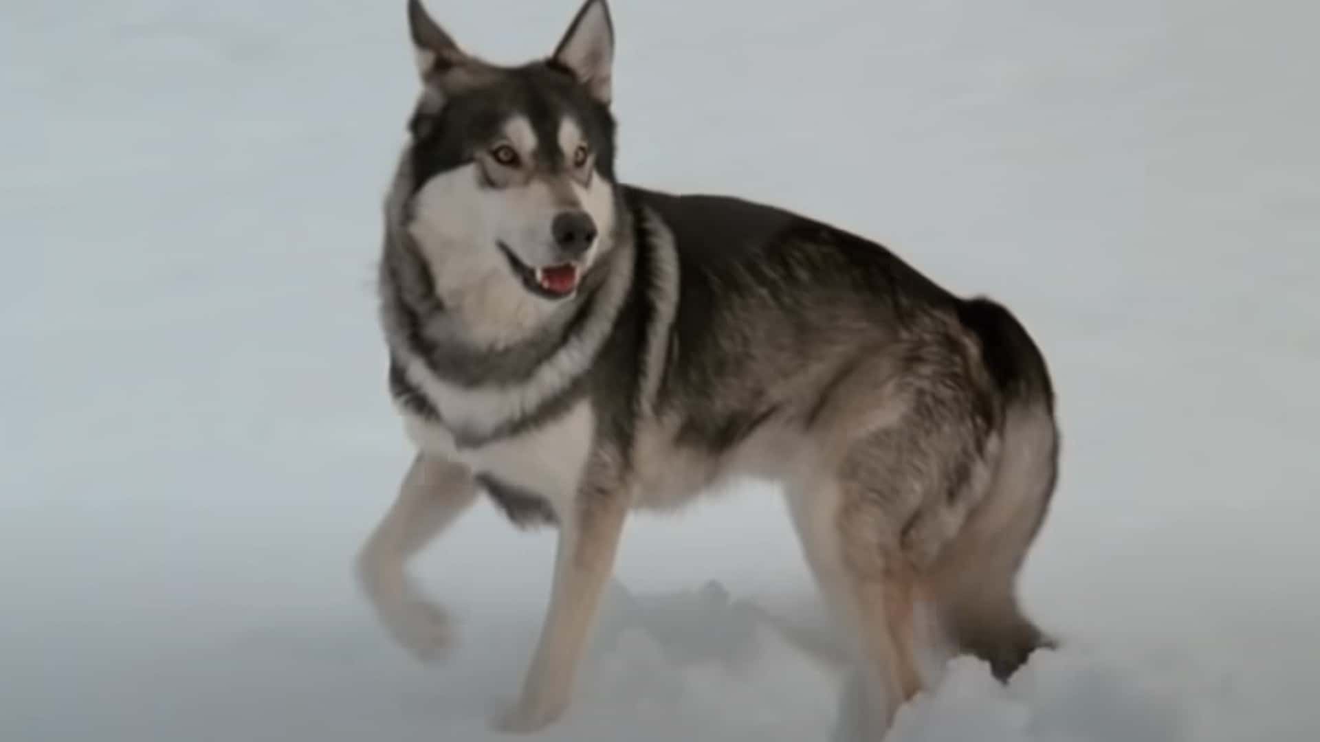 Horror Movie Details Facts