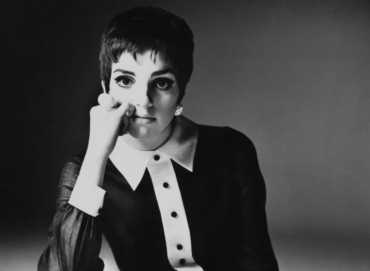 Liza Minnelli Facts