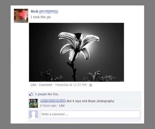 Social Media Clapbacks Experience