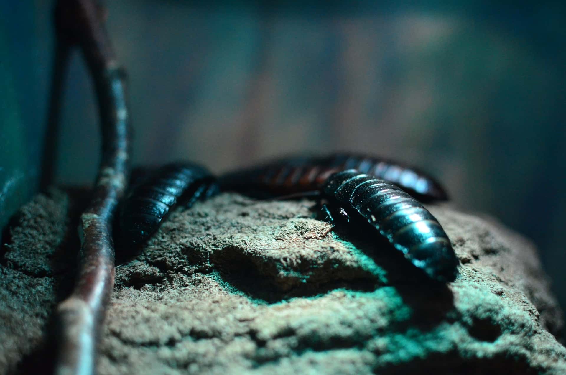 Stupidest things done