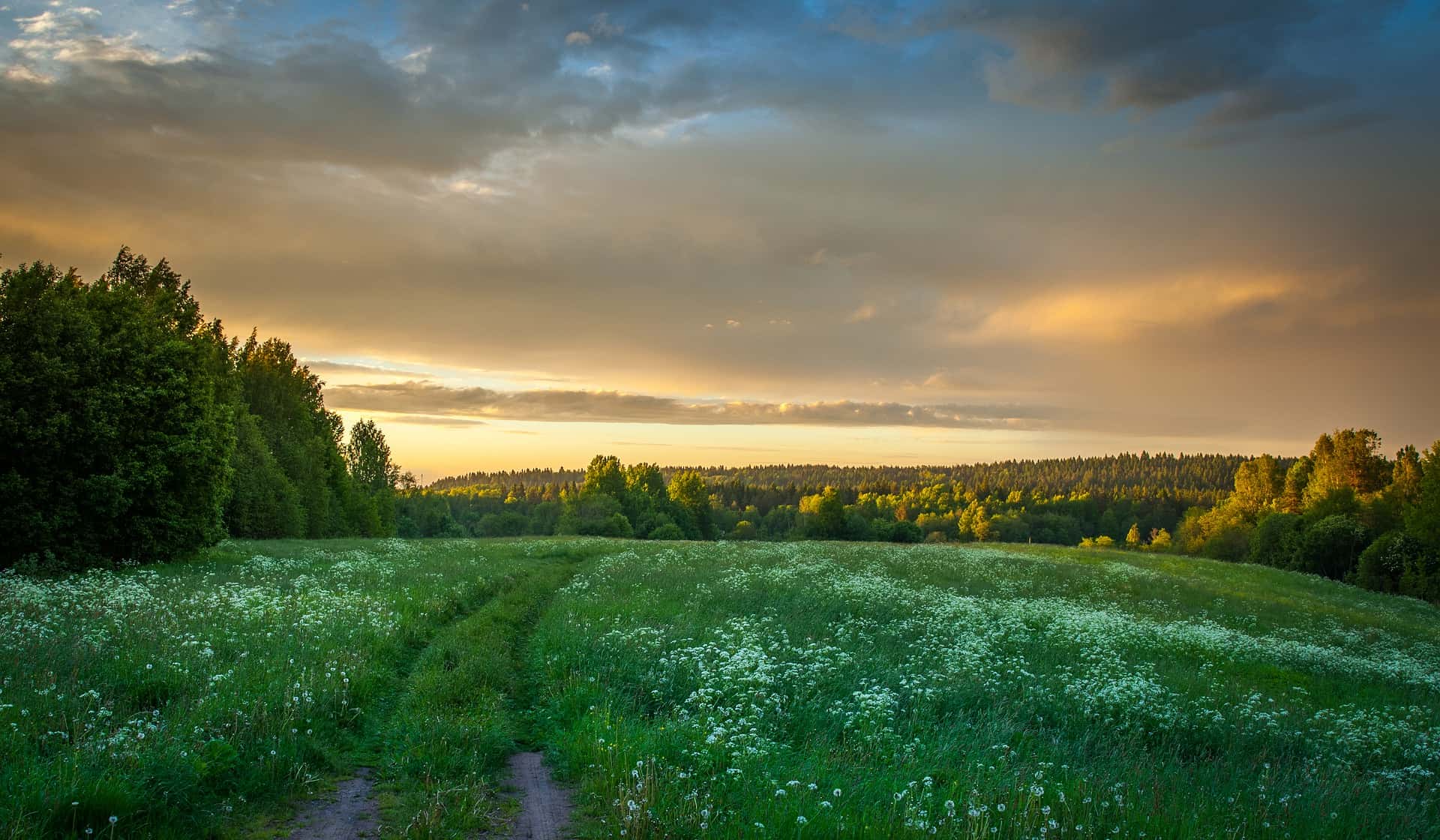 Lawyers Face-Palm facts