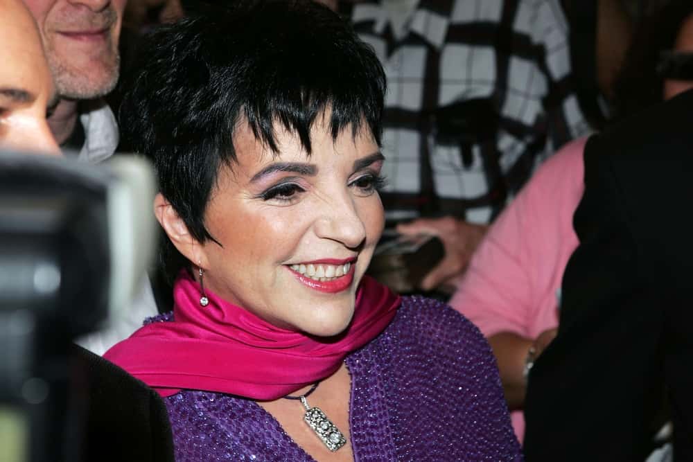 Liza Minnelli Facts