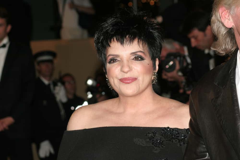 Liza Minnelli Facts