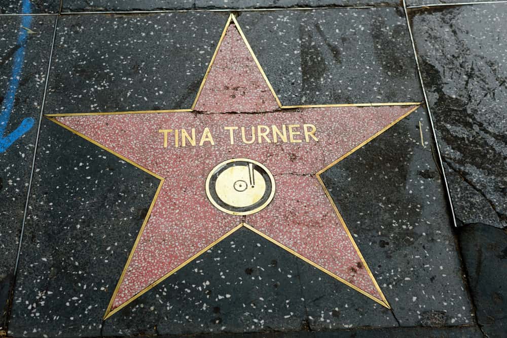 Tina Turner Facts