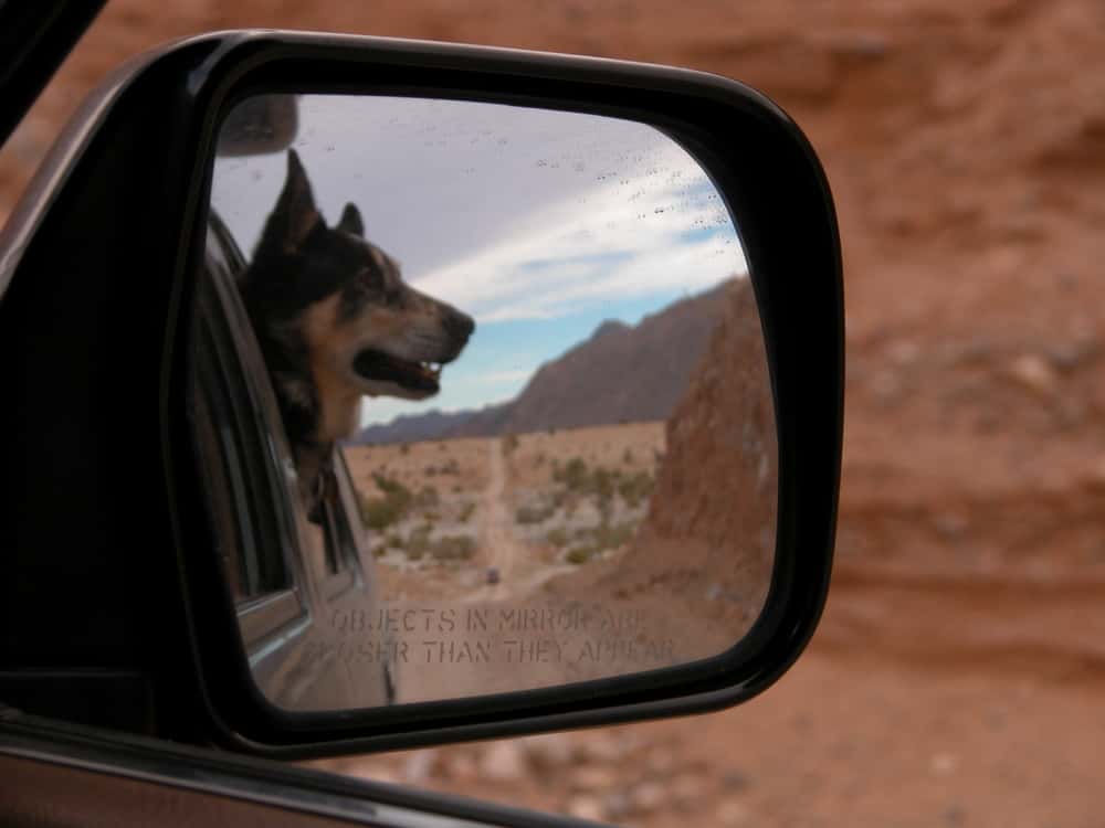 Never Want To Meet Again facts