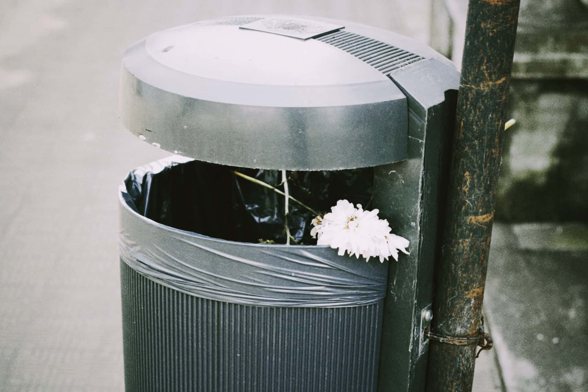 Creepy can't explain