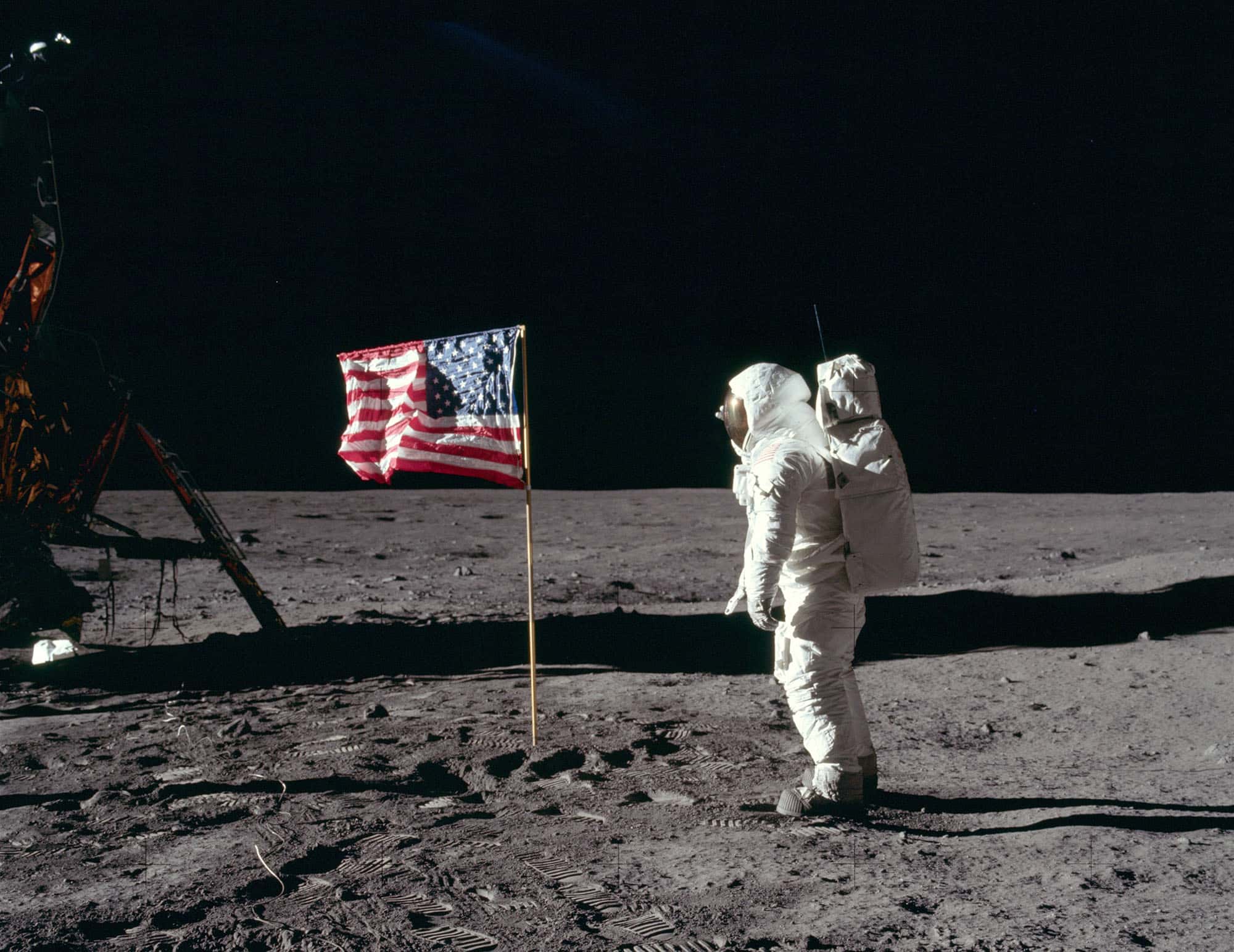 Craziest News Moments facts