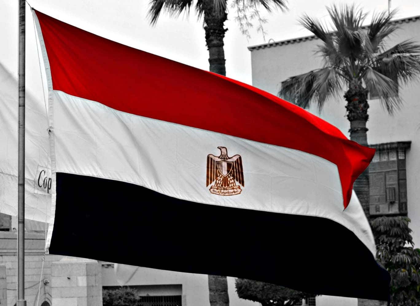 Queen Narriman facts