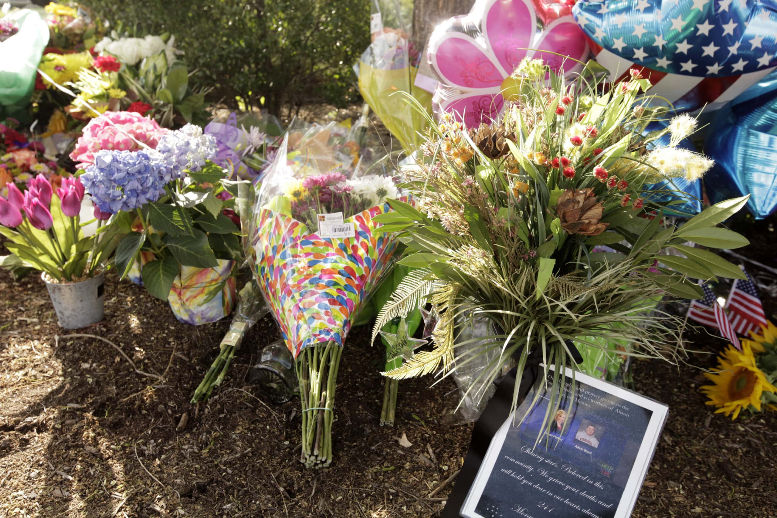 Craziest News Moments facts