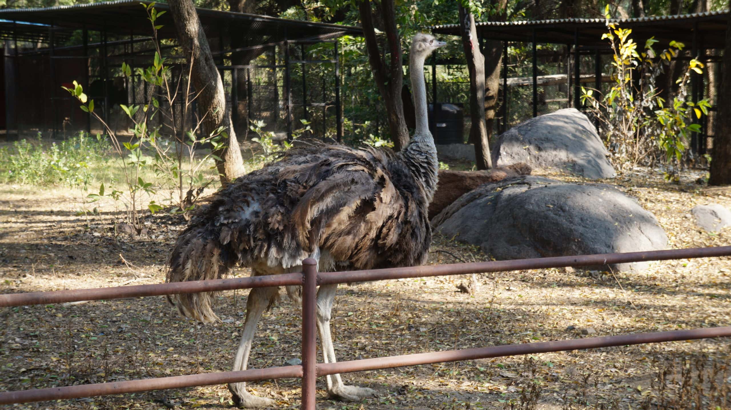 Most Embarrassing Childhood Memories facts