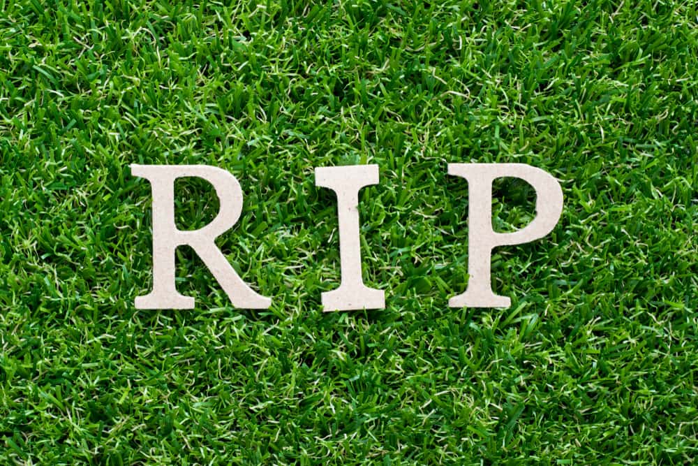 Queen Narriman facts