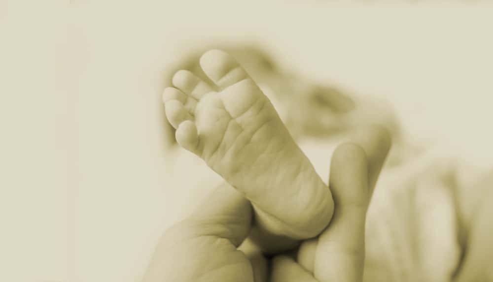 Victoria, The Princess Royal facts