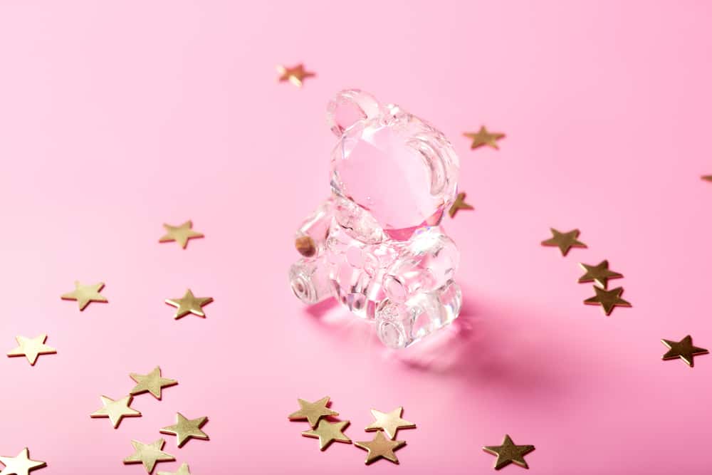 Teacher Never Forget facts