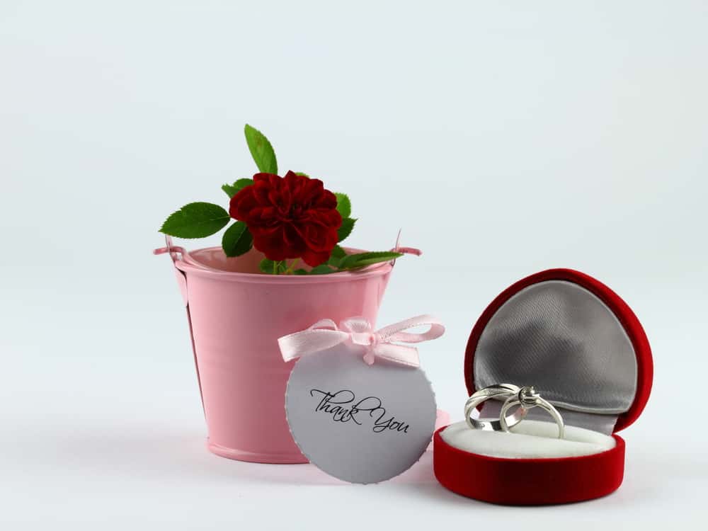 Susan Sarandon Facts