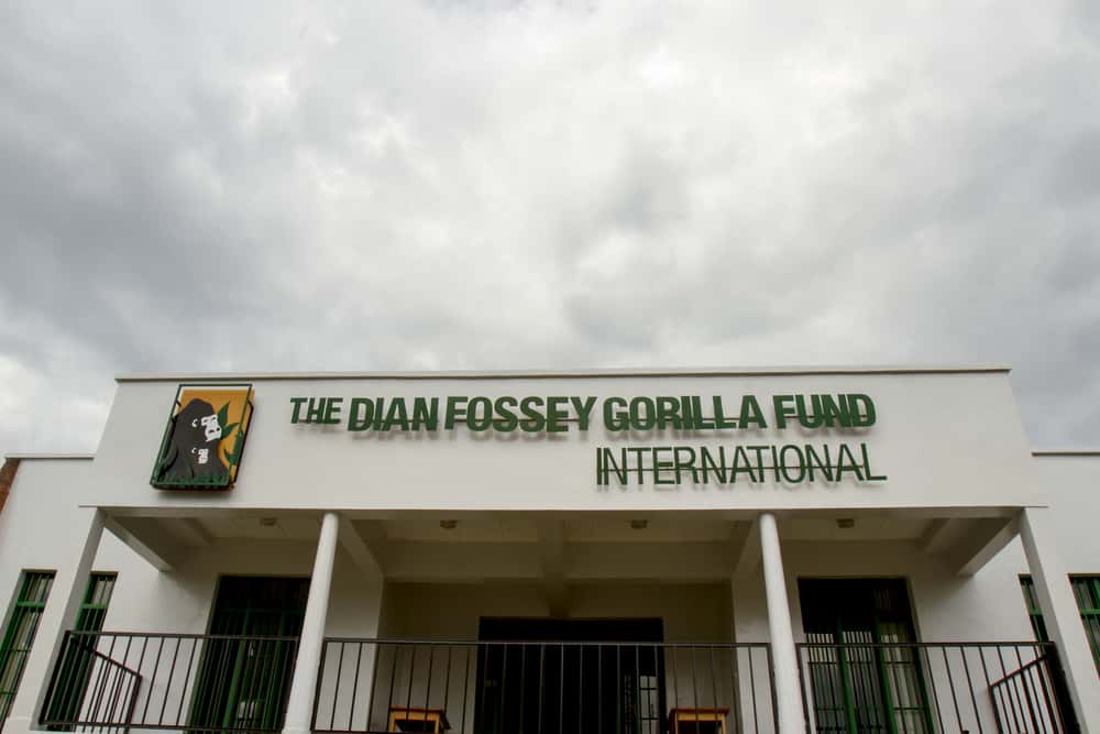 Sigourney Weaver Facts