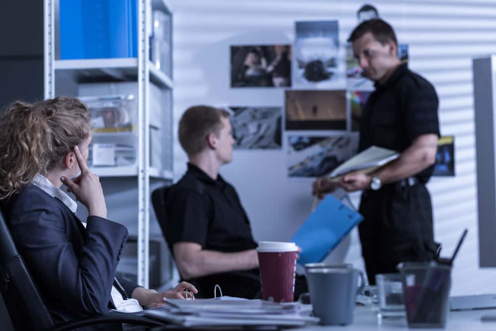 Private investigator