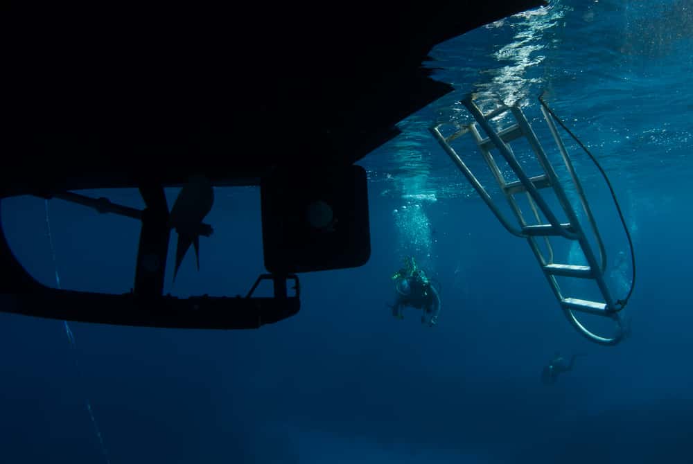 Deep Sea Dives