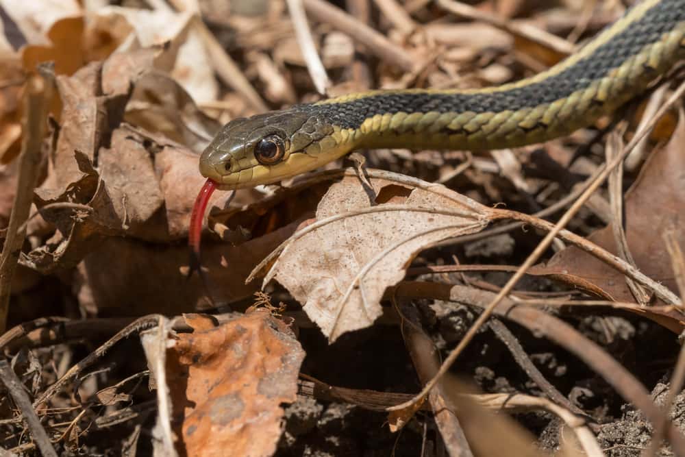 Scariest Experiences