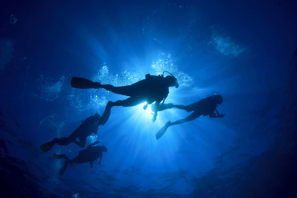 Deep Sea Dives