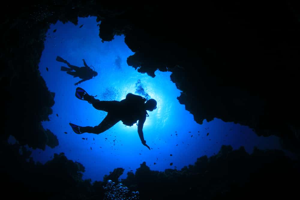Deep Sea Dives