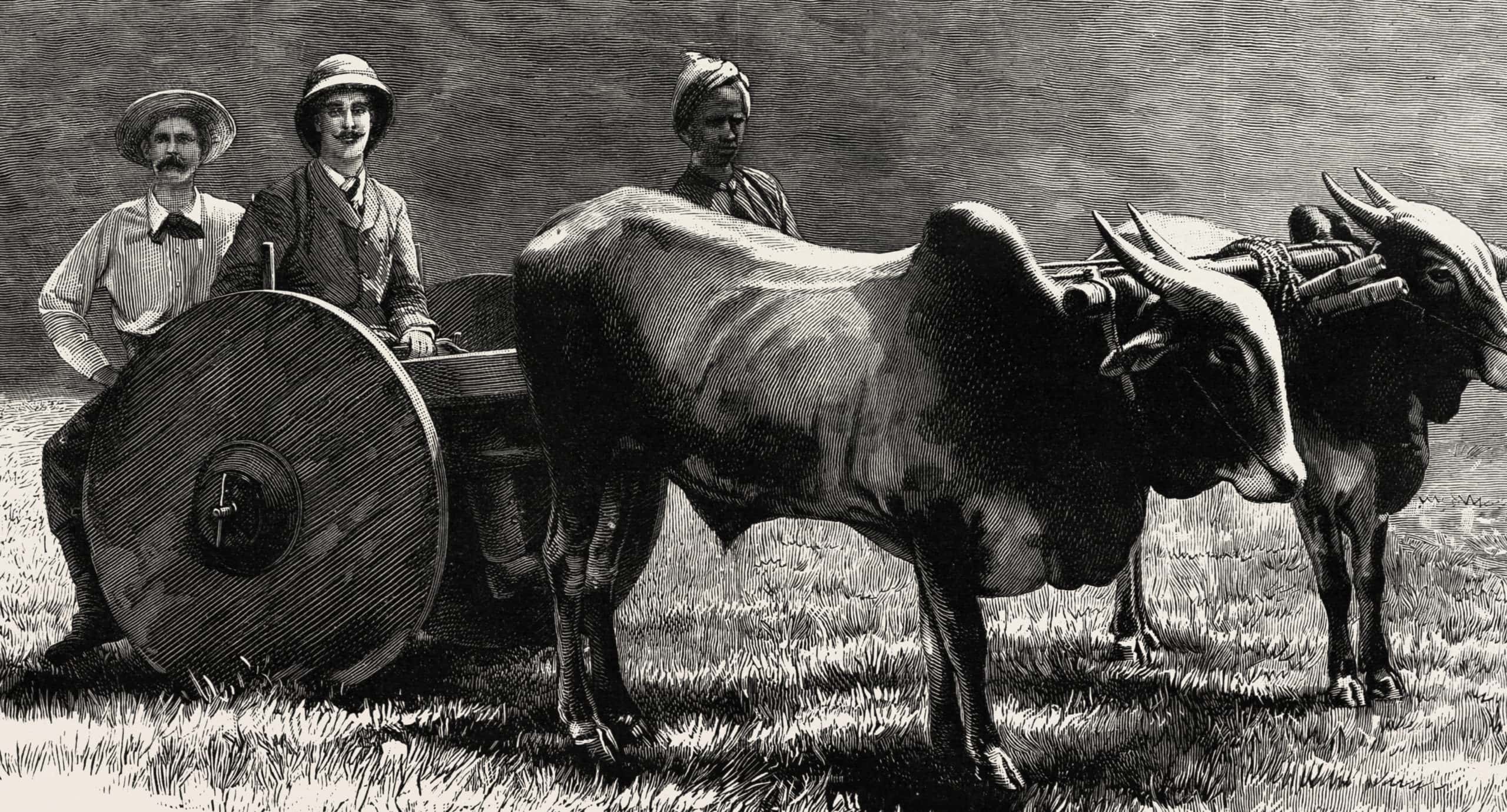 Prince Albert Victor facts 