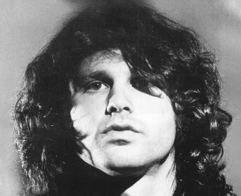 Pamela Des Barres facts