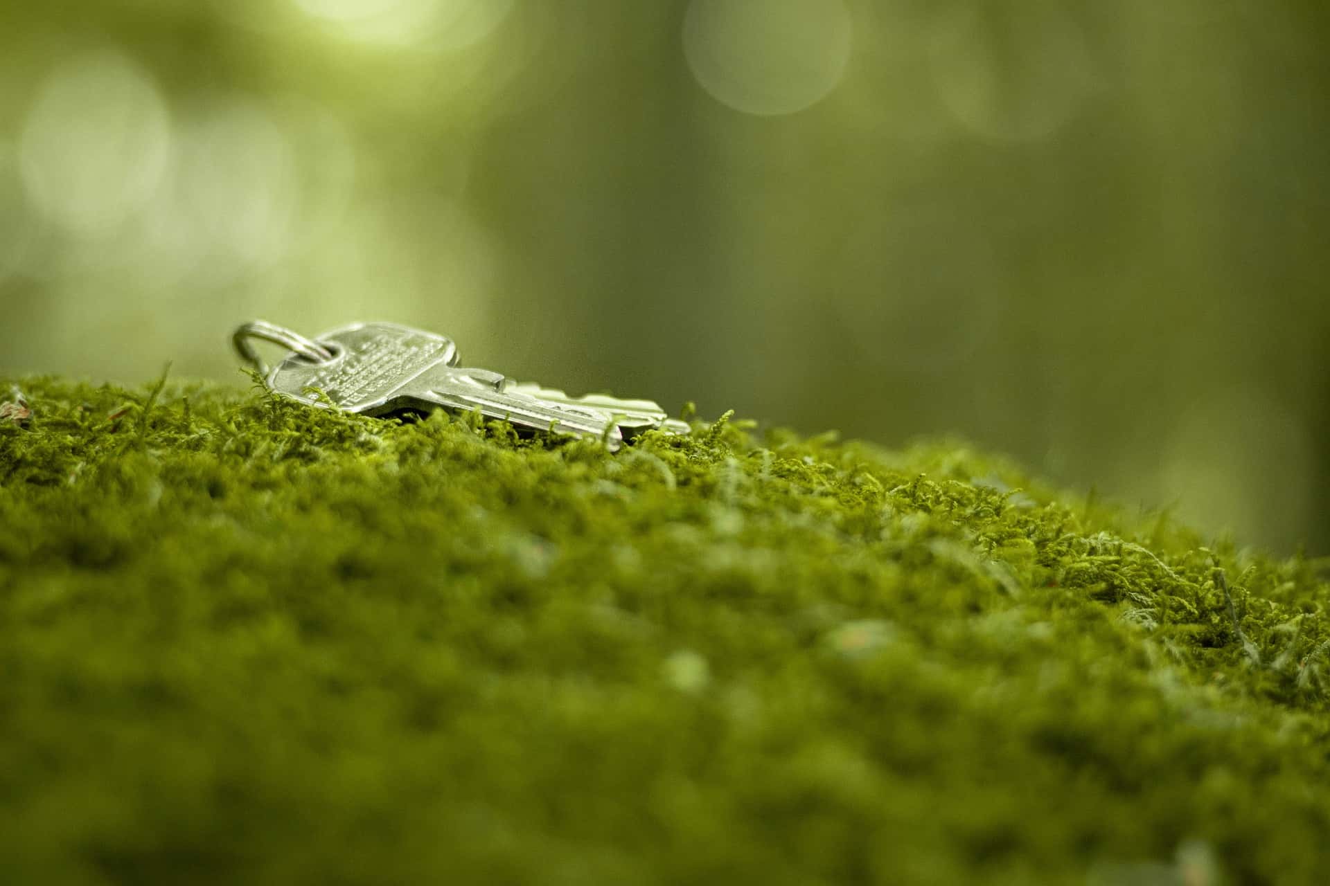 Glitch In The Matrix Facts