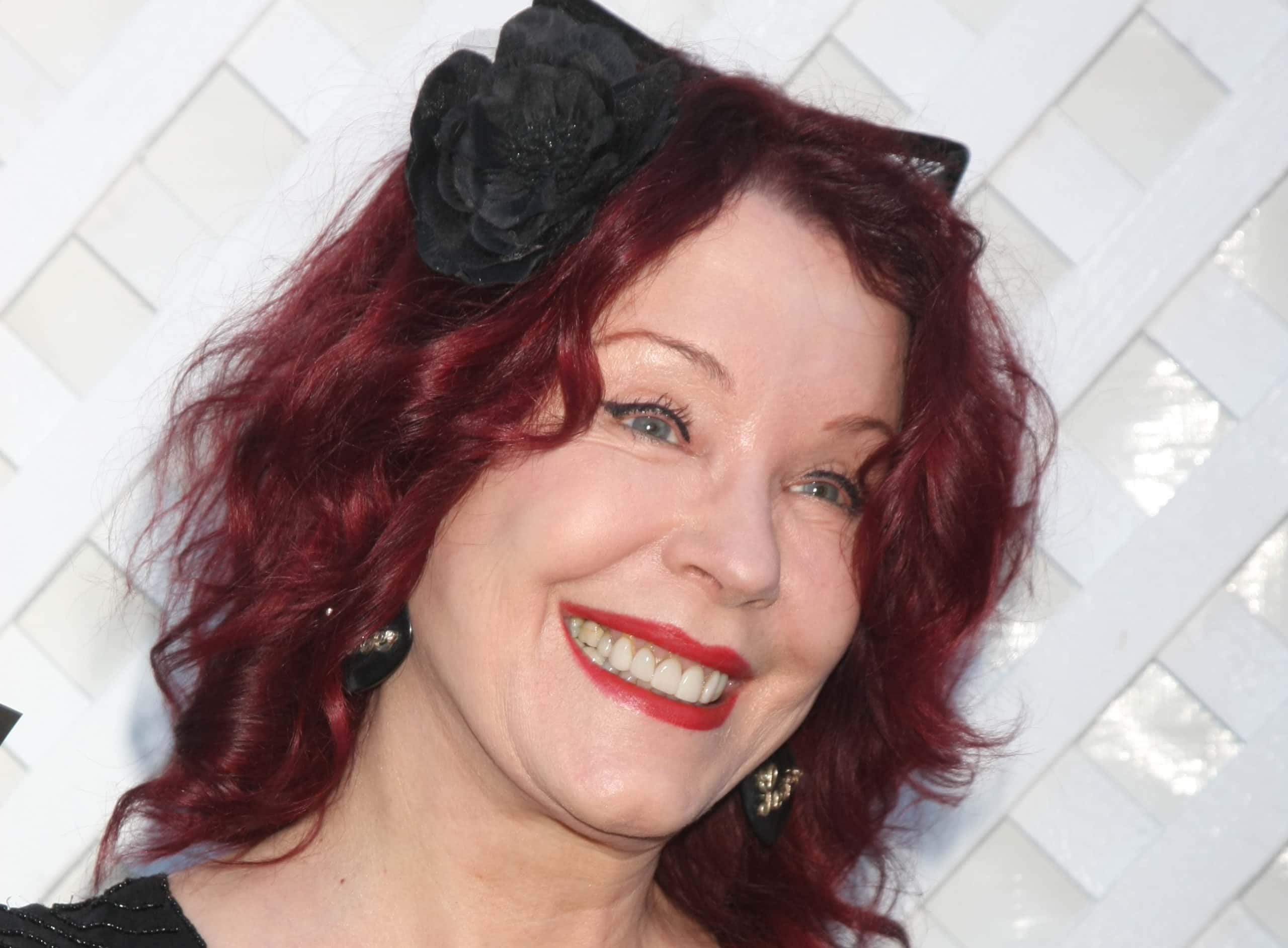 Pamela Des Barres facts