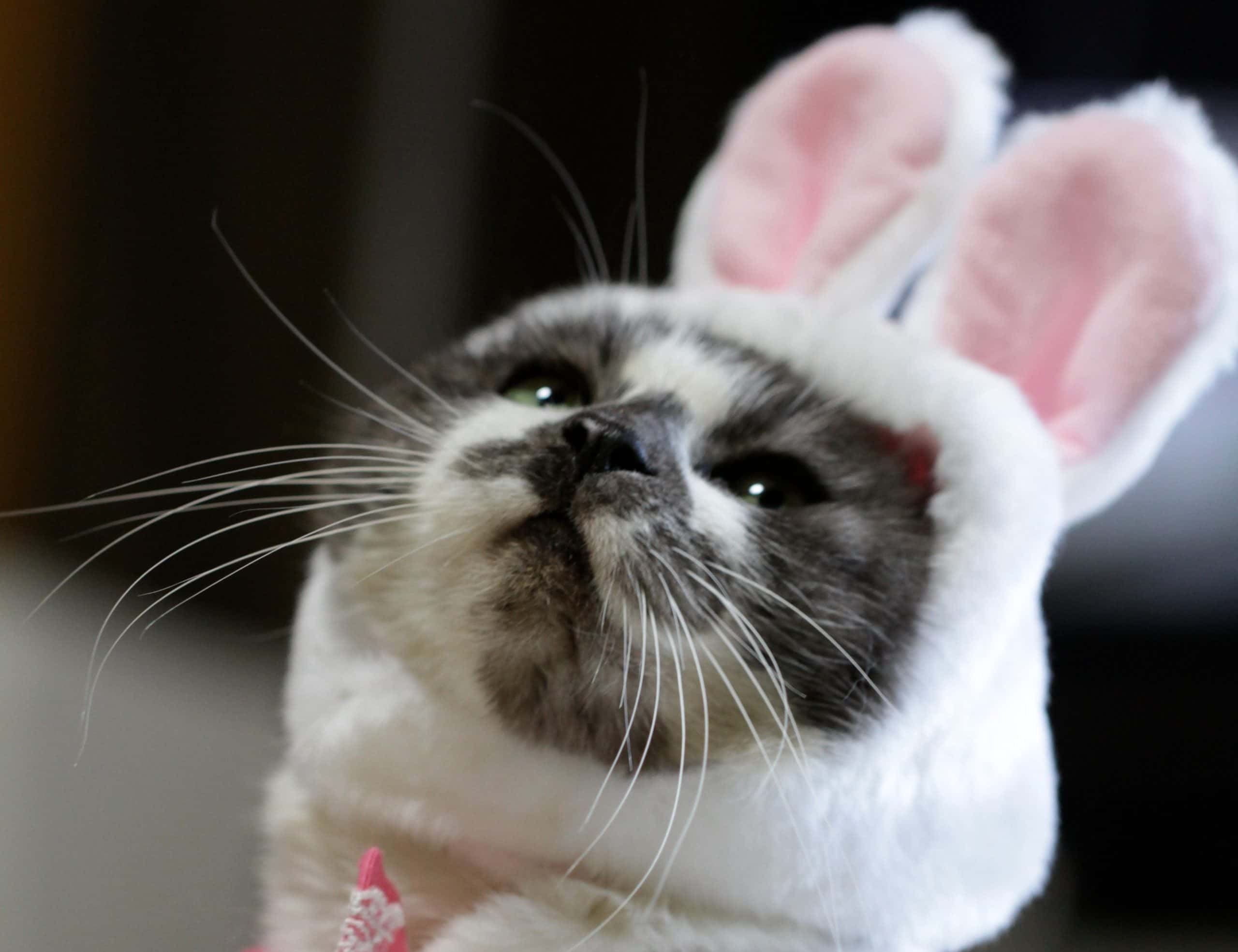 Worst Co-workers Facts