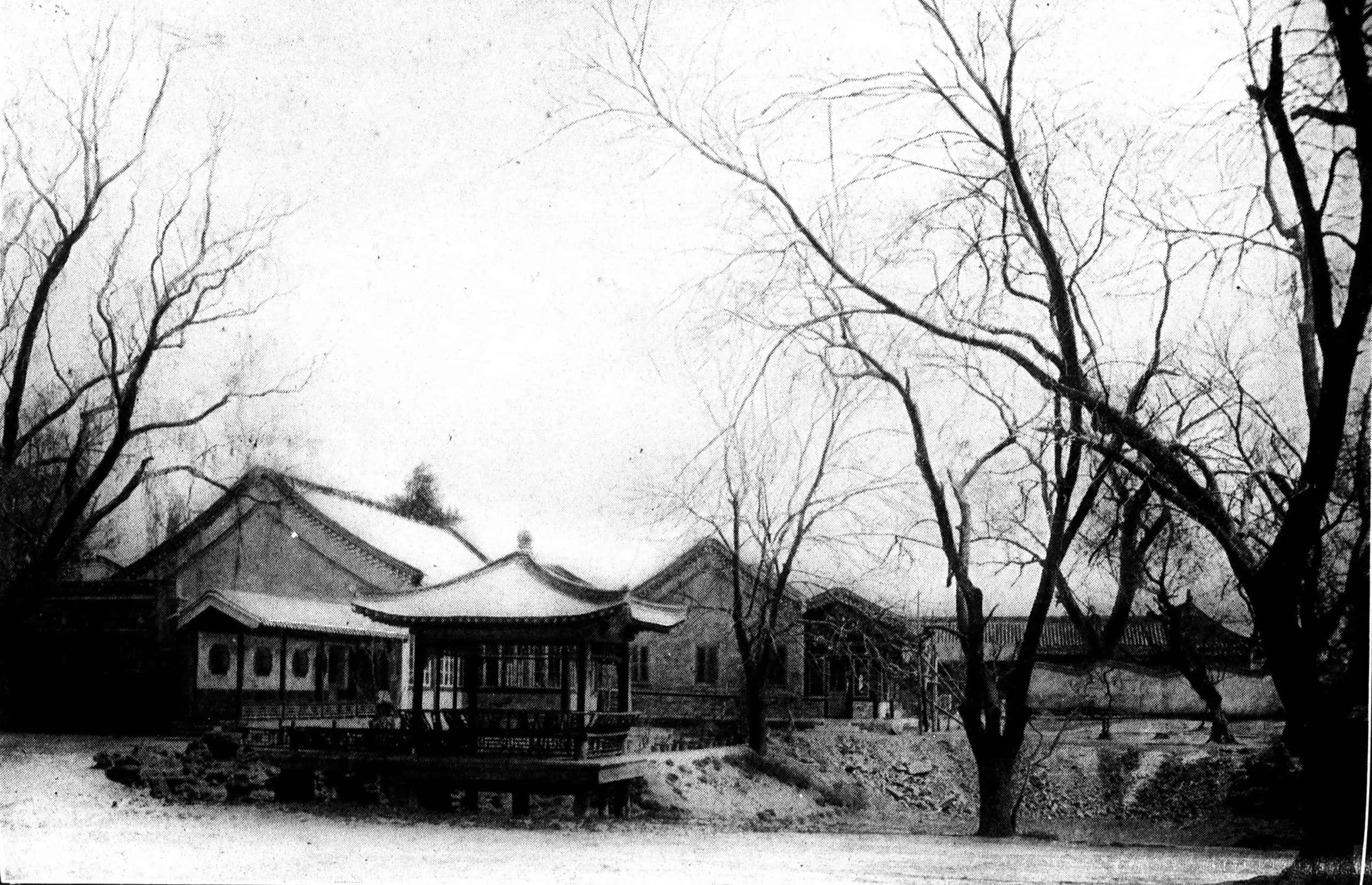 Yoshiko Kawashima facts 