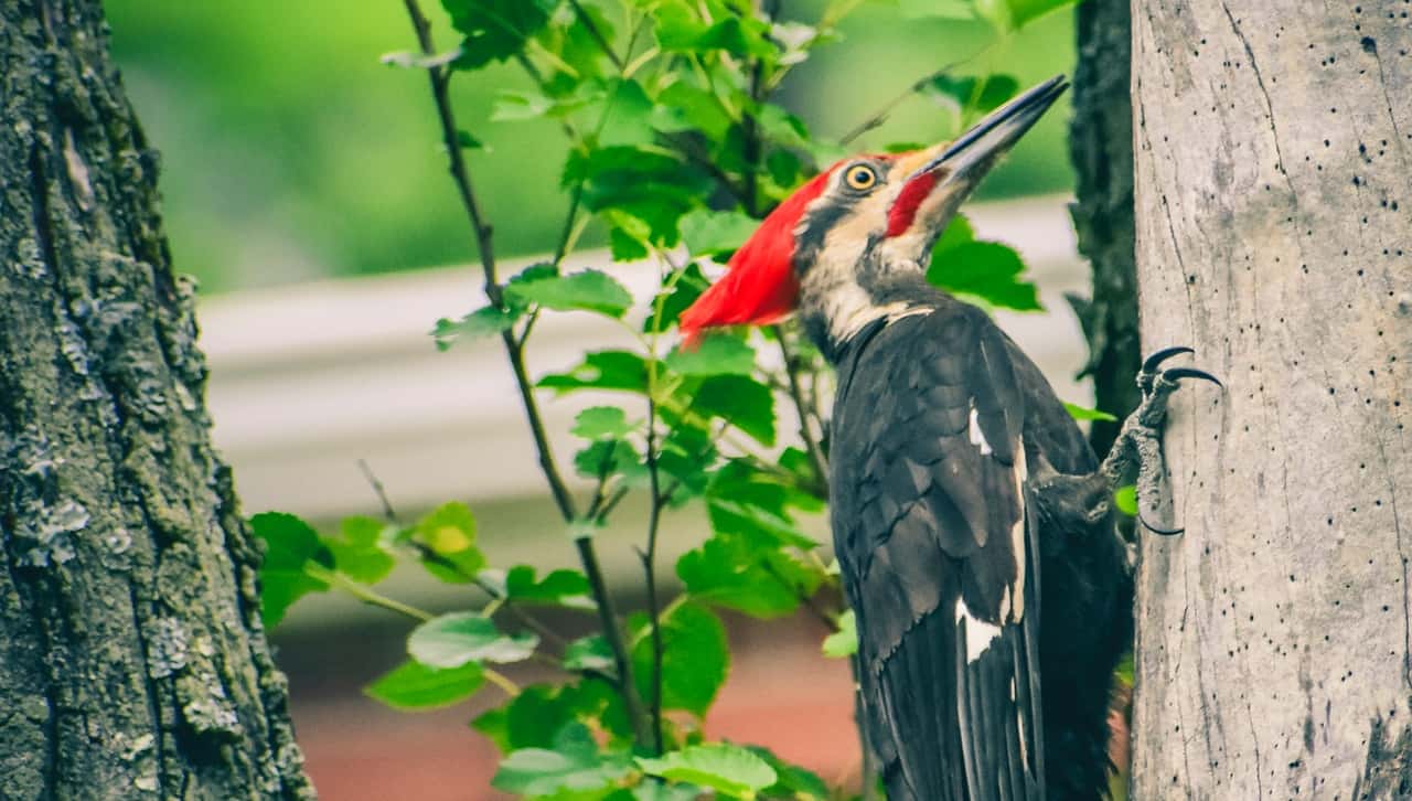 Teacher disturbing student