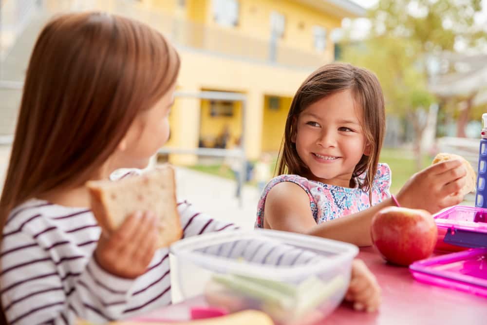 Childhood Imaginary Friends facts