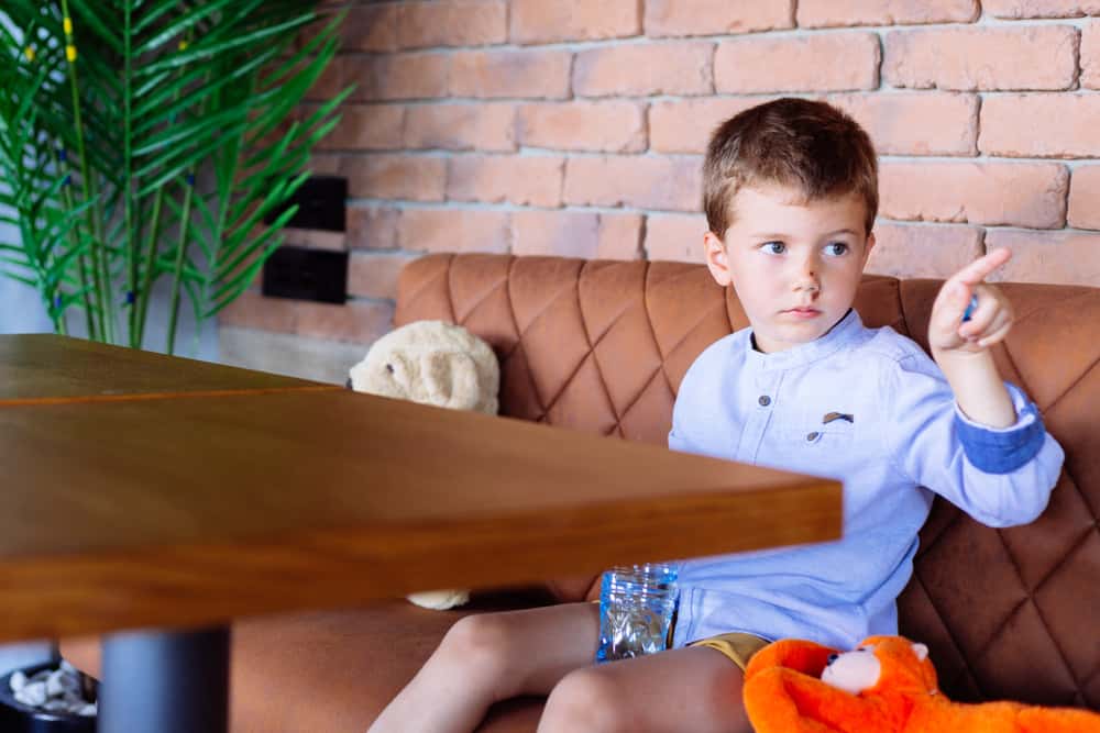 Childhood Imaginary Friends facts