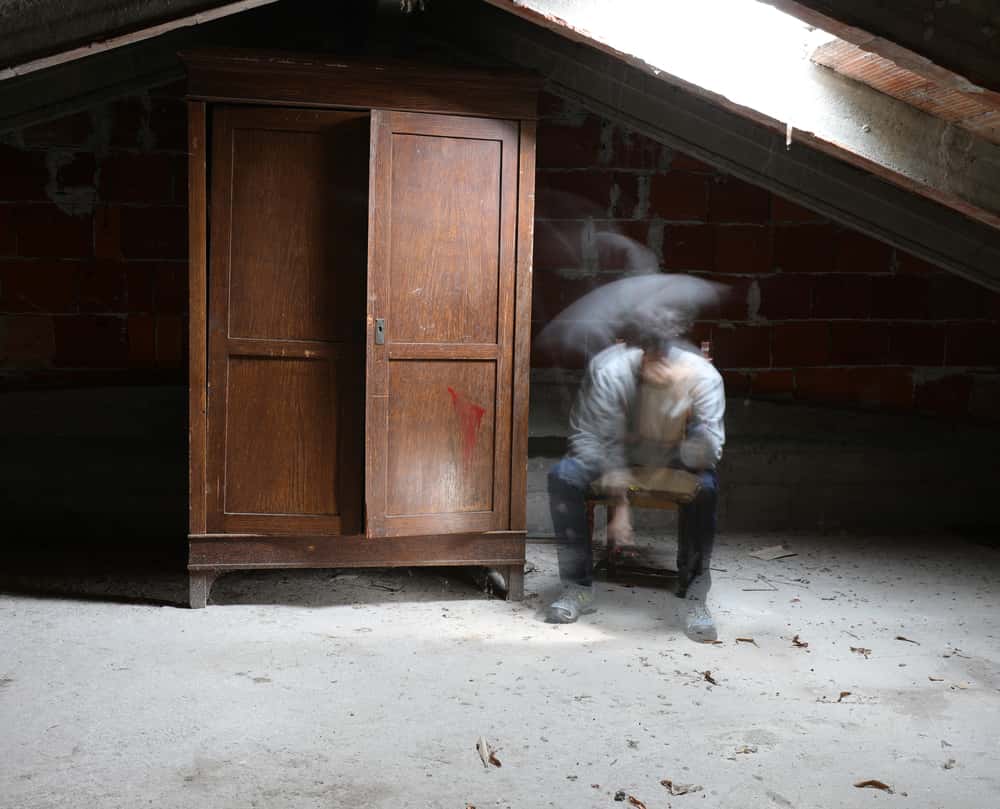 Childhood Imaginary Friends facts